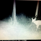 Illustration for article titled Cousins, Identical (Deer) Cousins?